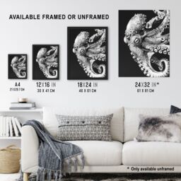 "Artery8 Octopus Black White Drawing Ernst Haeckel Style Framed Art Print in Grey - Size: W12"" x H16""" - thumbnail 3