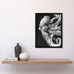 "Artery8 Octopus Black White Drawing Ernst Haeckel Style Framed Art Print in Grey - Size: W12"" x H16""" - thumbnail 4