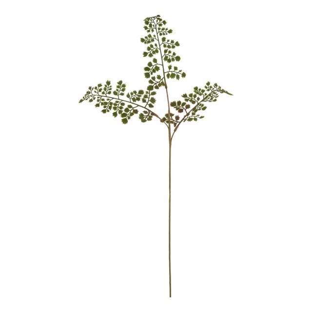 Hill Interiors The Natural Garden Collection Maidenhair Fern Artificial Flower in Green - image 1