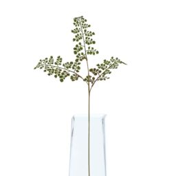 Hill Interiors The Natural Garden Collection Maidenhair Fern Artificial Flower in Green - thumbnail 3