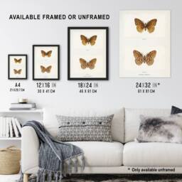 "Artery8 Aphrodite Fritillary Butterfly Denton Wall Art Poster Print in White - Size: W12"" x H16""" - thumbnail 3