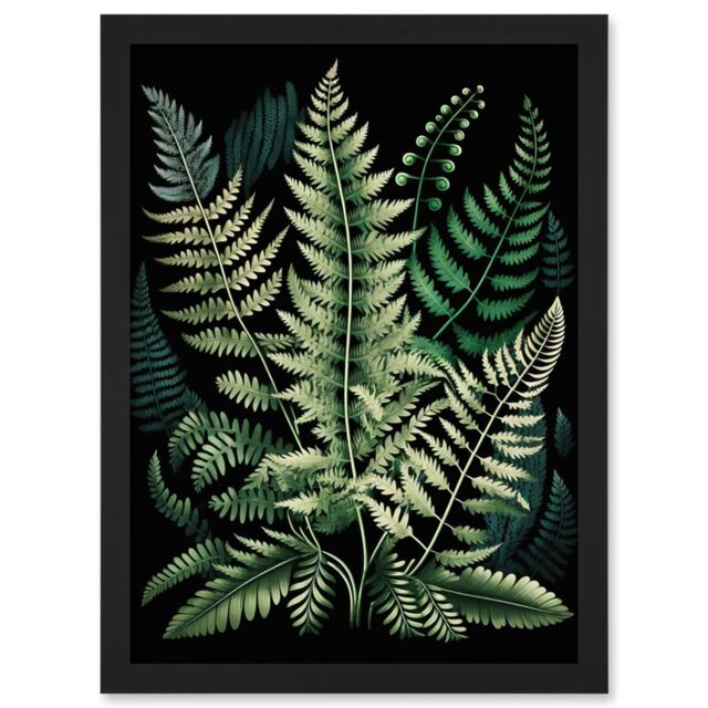Artery8 Different Fern Fronds Detailed Leaves Illustration Artwork Framed Wall Art Print A4 in Black - image 1