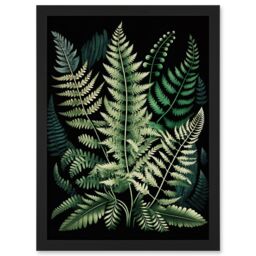 Artery8 Different Fern Fronds Detailed Leaves Illustration Artwork Framed Wall Art Print A4 in Black - thumbnail 1