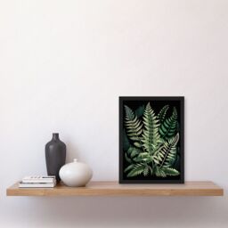Artery8 Different Fern Fronds Detailed Leaves Illustration Artwork Framed Wall Art Print A4 in Black - thumbnail 2