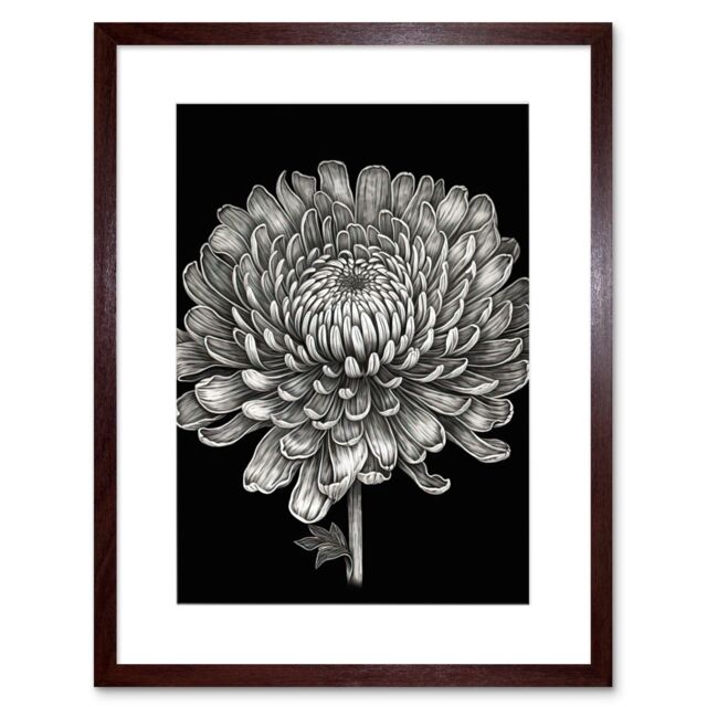 "Artery8 Wall Art Print Detailed Chrysanthemum Flower Bloom Artwork Framed 9X7 Inch in Brown - Size: W7"" x H9""" - image 1