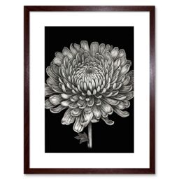 "Artery8 Wall Art Print Detailed Chrysanthemum Flower Bloom Artwork Framed 9X7 Inch in Brown - Size: W7"" x H9""" - thumbnail 1