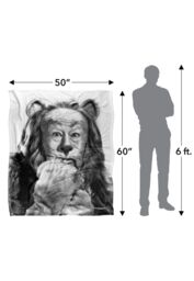 Warner Brothers The Wizard Of Oz Officially Licensed Silky Touch Super Soft Throw Blanket 152 x 127 cm in White - thumbnail 5