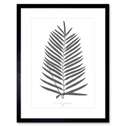 "Artery8 Wall Art Print Fern Vintage Grey Art Framed 9x7 inch in Black - Size: W7"" x H9""" - thumbnail 1