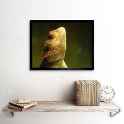 "Artery8 Lizard Bearded Dragon Reptile Photo Home Decor 12x16"" Framed Art Print in Yellow - Size: W12"" x H16""" - thumbnail 2