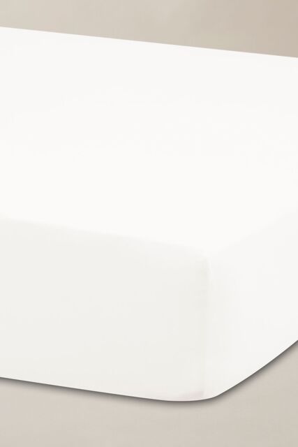 Ted Baker 'TB Plain Dye' Cotton Sateen Fitted Sheet in White - Size: Super King - image 1