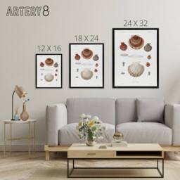 "Artery8 Clam shell varieties Augustus Gould Framed Canvas Wall Art Print in White - Size: W12"" x H16""" - thumbnail 4