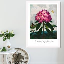 ARTZE Vintage Floral Exhibition - Rhododendron Flower Framed Print SIZE: A4 with White Frame in Pink - thumbnail 2