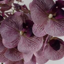 Leaf Pack of 6 x 100cm Artificial Phalaenopsis Orchid Purple Stem - 42 Flowers - Size: 6 x 100 cm - thumbnail 4