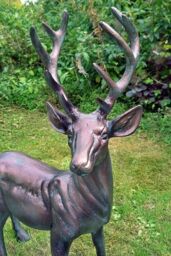 Inspirational Gifting Standing Stag Buck Ornament Cast From Aluminium in Bronze - thumbnail 4