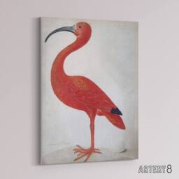 "Artery8 Merian Scarlet Ibis With Egg Nature Canvas Wall Art Print in Pink - Size: W18"" x H24""" - thumbnail 2
