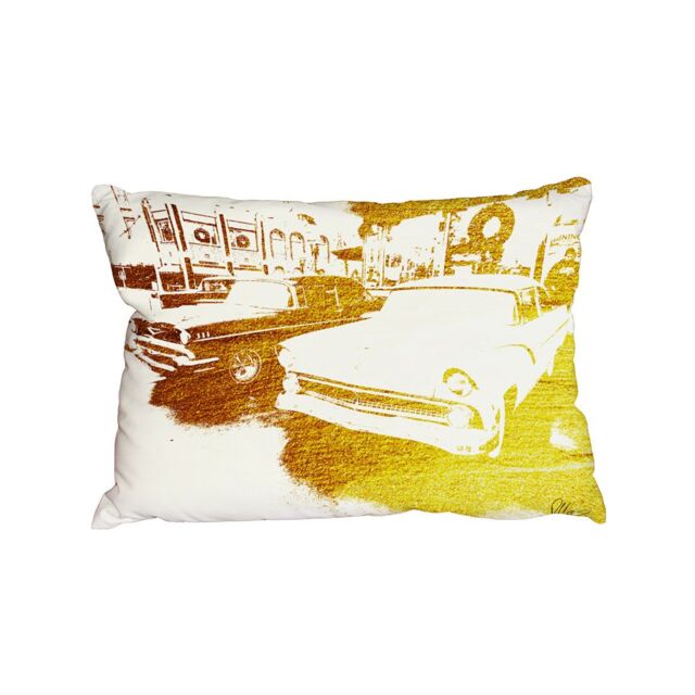 Benjamin Tate Design Cushions - cool cars (Cushion)