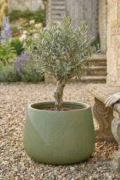Dibor Green Medium Fibreclay Symmetry Stripe Summer Outdoor Planter Plant Pot H29 x Dia42cm - thumbnail 1