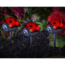 mysmartbuy Set of 3 Solar Powered Ladybird Outdoor Garden LED Stake Lights in Red - thumbnail 1