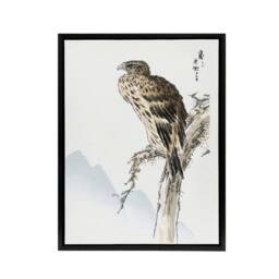 "Artery8 Black Eared Kite Bird Japanese Framed Canvas Wall Art Print Kashu - Size: W12"" x H16""" - thumbnail 1