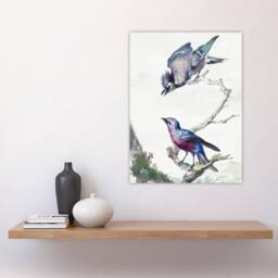 "Artery8 Blue Jay & a Purple Breasted Cotinga Schouman Wall Art Poster Print in White - Size: W12"" x H16""" - thumbnail 4
