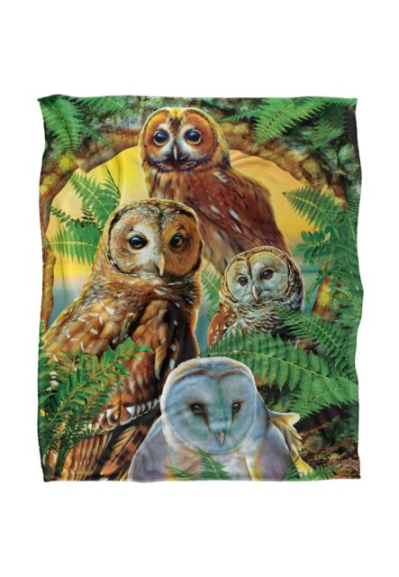 JQ Licensing Rl-Jp Owl Collage Silky Touch Super Soft Throw Blanket 152 X 127 cm in White - image 1