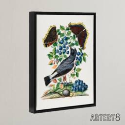 "Artery8 Northern Wheatear & Mourning Cloak Bolton Black Framed Canvas Art - Size: W24"" x H32""" - thumbnail 2