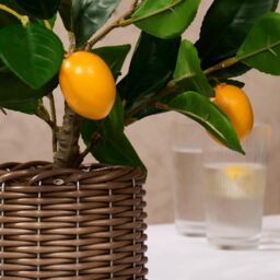 OHS Lemon Tree Artificial Plant Potted New Home Flat Decor Leaves Pot in Bright Yellow - thumbnail 3