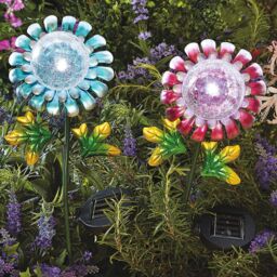 mysmartbuy Solar Powered Daisy Design Globe Stake Light - Flower Shaped Metal & Glass Outdoor Garden Lighting Ornament - Measures H74cm in Blue - thumbnail 3