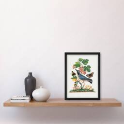 Artery8 Warbler Bird & Red Admiral Butterfly Bolton Framed Wall Art Print in White - Size: A4 - thumbnail 2