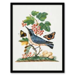 Artery8 Warbler Bird & Red Admiral Butterfly Bolton Framed Wall Art Print in White - Size: A4 - thumbnail 1