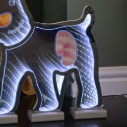 Samuel Alexander 40cm LED Infinity Snowdog Christmas Decoration with Wooden Base - thumbnail 6