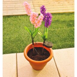 mysmartbuy 2 x Hyacinth Style Solar Stake Lights - Pink & Purple Flower Shaped Outdoor Garden Lighting Decorations - Each Measure H70cm - thumbnail 2