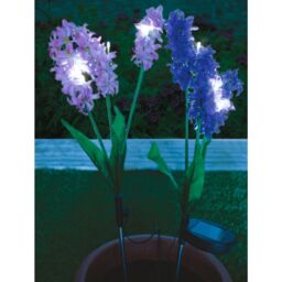 mysmartbuy 2 x Hyacinth Style Solar Stake Lights - Pink & Purple Flower Shaped Outdoor Garden Lighting Decorations - Each Measure H70cm - thumbnail 5
