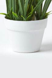 Homescapes Set of 4 Multi-Coloured Artificial Calla Lilies in White Pots - thumbnail 5