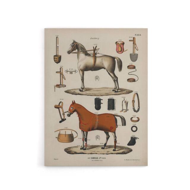 "Artery8 Horseback Riding Camille Jeune Vintage Canvas Wall Art in Beige - Size: W24"" x H32""" - image 1
