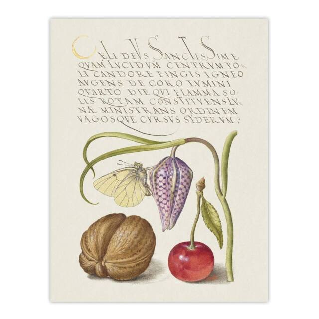 "Artery8 Snakeshead Walnut & Cherry Calligraphy Wall Art Poster Print in White - Size: W24"" x H32""" - image 1