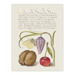 "Artery8 Snakeshead Walnut & Cherry Calligraphy Wall Art Poster Print in White - Size: W24"" x H32""" - thumbnail 1