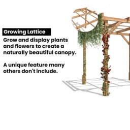 Dunster House Wooden Pergola Garden Plants Frame Utopia 3m x 3m (10' x 10') in Brown - thumbnail 6