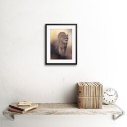 "Artery8 Wall Art Print Mountain Lion Cougar Art Framed 9x7 inch in Black - Size: W7"" x H9""" - thumbnail 2