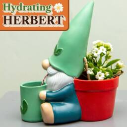 Boxer Gifts Hydrating Herbert Self Watering Plant Pot for Indoor Plants - thumbnail 2