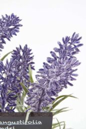 Homescapes Artificial Lavender Plant in Decorative Pot in Terracotta - thumbnail 5