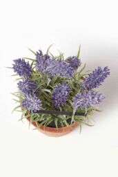 Homescapes Artificial Lavender Plant in Decorative Pot in Terracotta - thumbnail 2