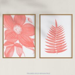 Wee Blue Coo Pack of 2 Calm Flower & Fern Frond Coral Pink Plant Botanical Aesthetic illustration Unframed Wall Art Living Room Prints Set - thumbnail 5