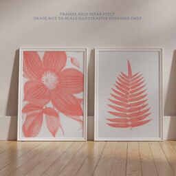 Wee Blue Coo Pack of 2 Calm Flower & Fern Frond Coral Pink Plant Botanical Aesthetic illustration Unframed Wall Art Living Room Prints Set - thumbnail 6