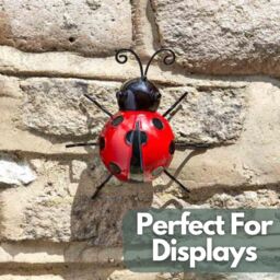 Marco Paul 15cm Ladybird Garden Ornament in Dark Red - thumbnail 6