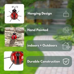 Marco Paul 15cm Ladybird Garden Ornament in Dark Red - thumbnail 4