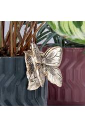 KDMD Plant Pot Pals - Butterfly 2 Pack in Bronze - thumbnail 1
