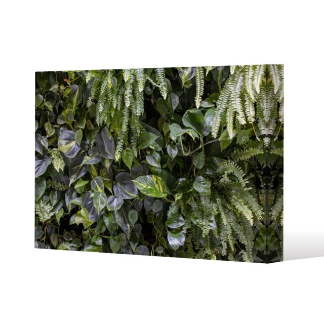 Benjamin Tate Design urban jungle, modern interior decoration (Canvas Print) / 77 x 51 x 4cm in Natural - Size: 77 x 51 x 4 cm - image 1