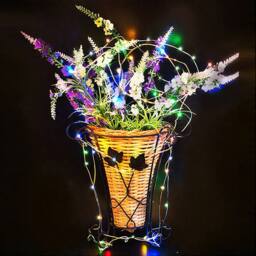 Bright Zeal Set of 4 20m Battery-Operated Multi-Color LED Fairy Lights - thumbnail 4