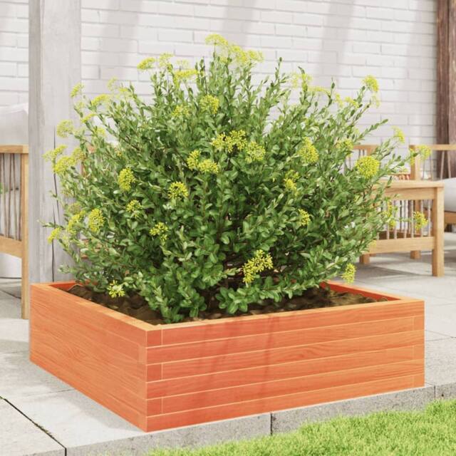 Berkfield Home Decorative Garden Planter Wax Brown 80x80x23 cm Solid Wood Pine - Size: 80 x 80 x 23 cm - image 1